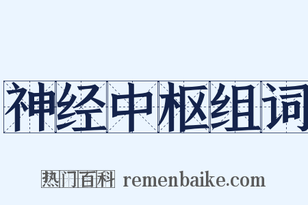 神经中枢组词是什么意思的图片